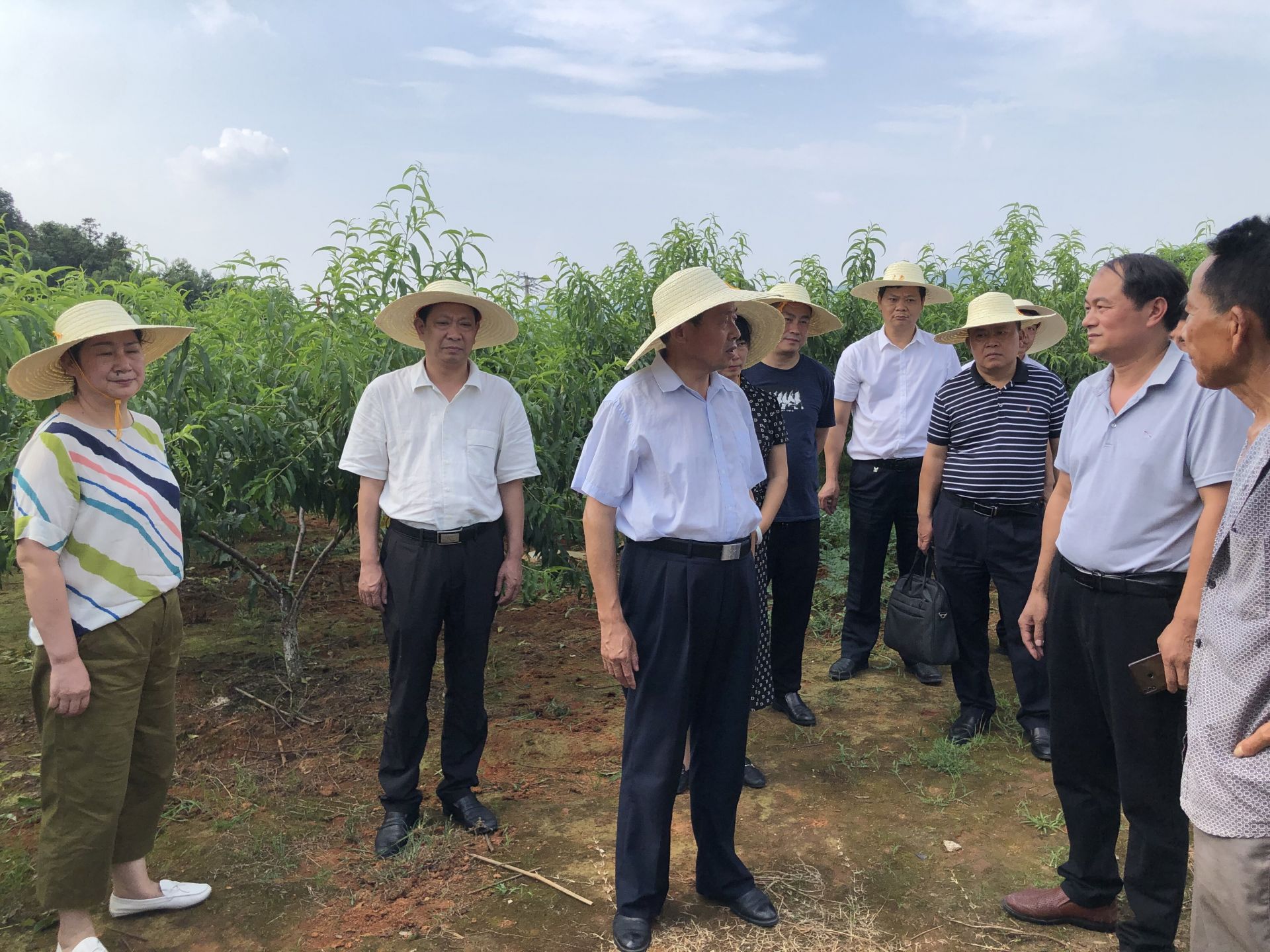 市政协副主席冯海潮,秘书长胡细银参加调研(张蕾 张雪莉)